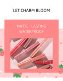 Dragon Ranee 6pcs/set Strawberry Matte Lip Gloss Smooth Velvet Lip Glaze Waterproof Lasting Liquid Lipstick ( B )